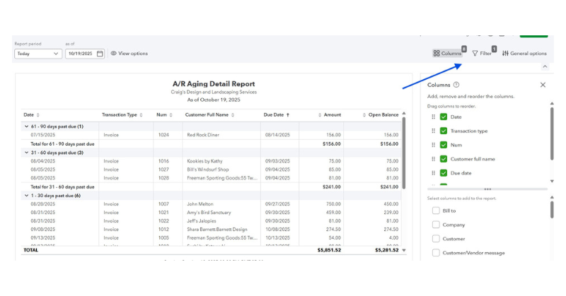 QBO customized report screen