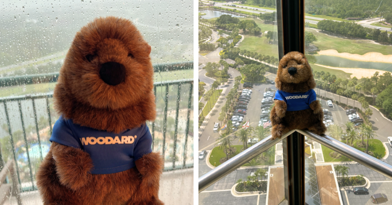 Woody the Woodard groundhog mascot wearing a Woodard shirt, photographed indoors near a window overlooking an outdoor landscape.