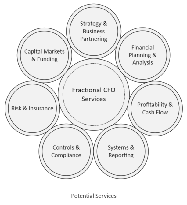 The Role of the Fractional CFO