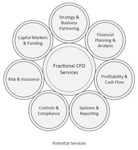 A diagram of a company's financial services
Description automatically generated