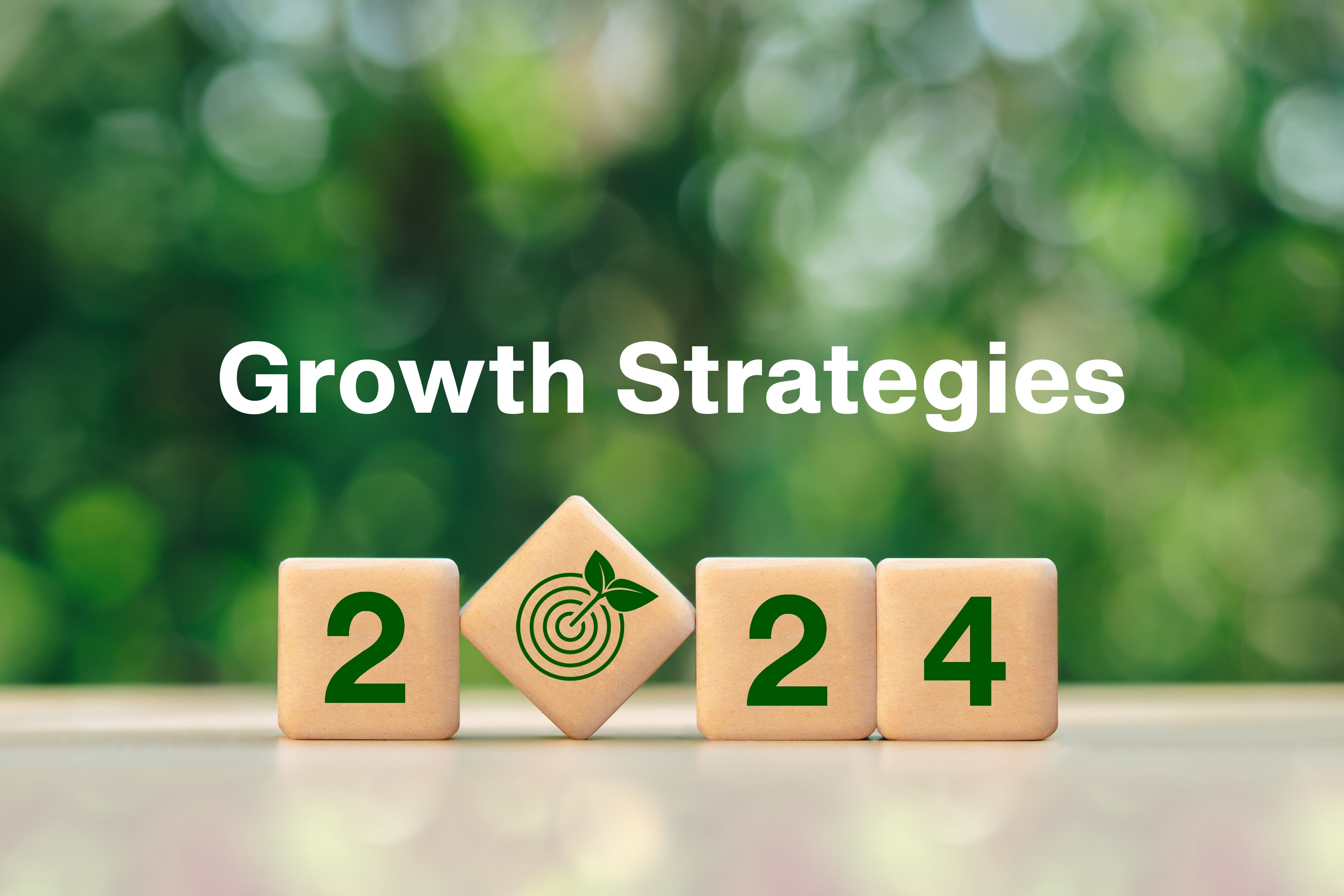 2024 Growth Strategies
