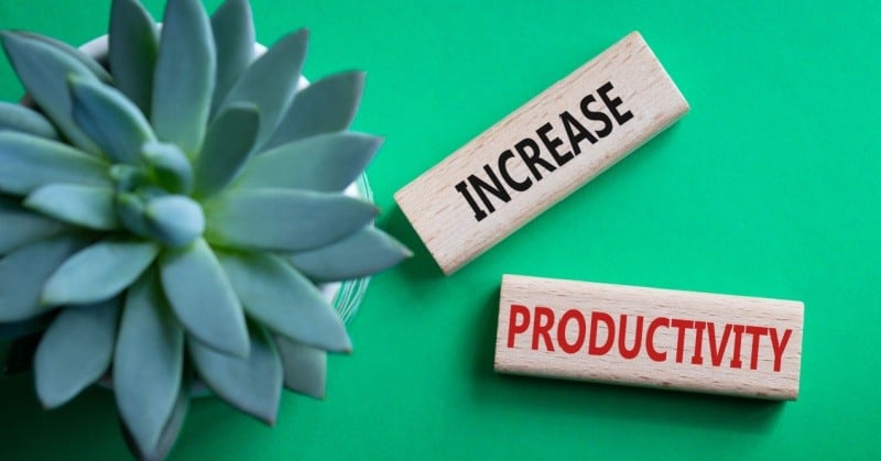 Two wooden blocks with the words "INCREASE" and "PRODUCTIVITY" printed on them, placed next to a succulent plant, set against a vibrant green background.