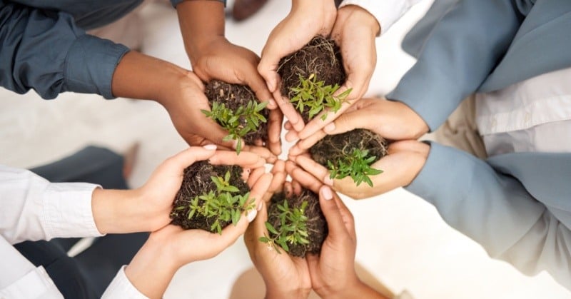 Hands of diverse individuals holding young plants, symbolizing teamwork, growth, and nurturing a healthy environment in business relationships.