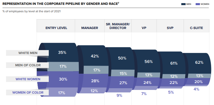 representation in the pipeline by gender and race